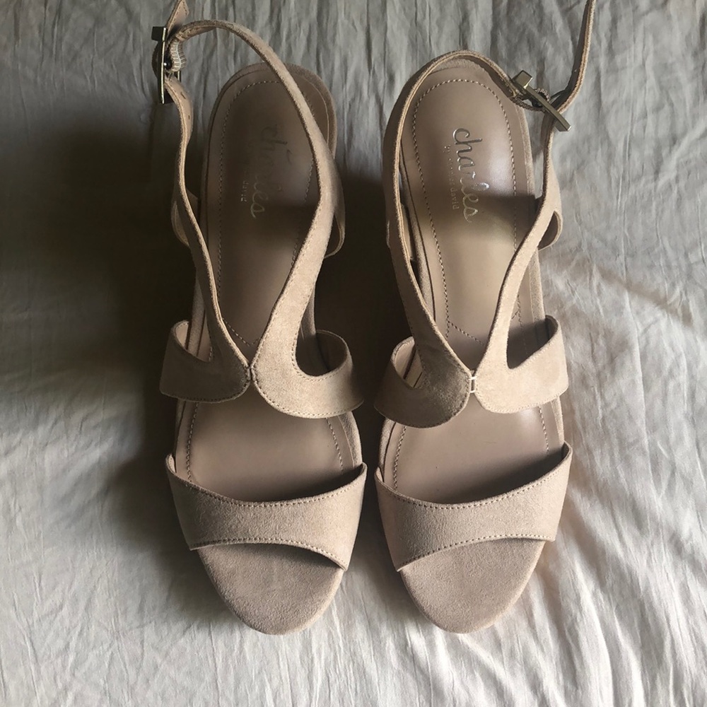 Charles David Wedges